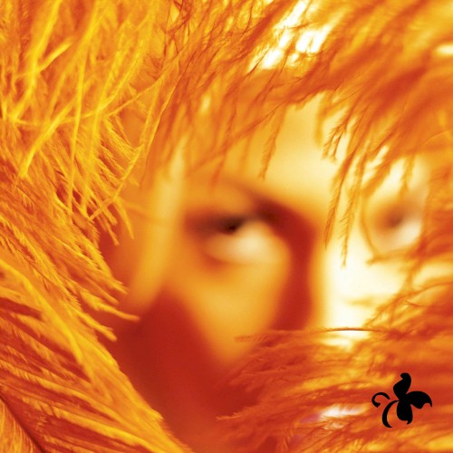 Capa do Álbum